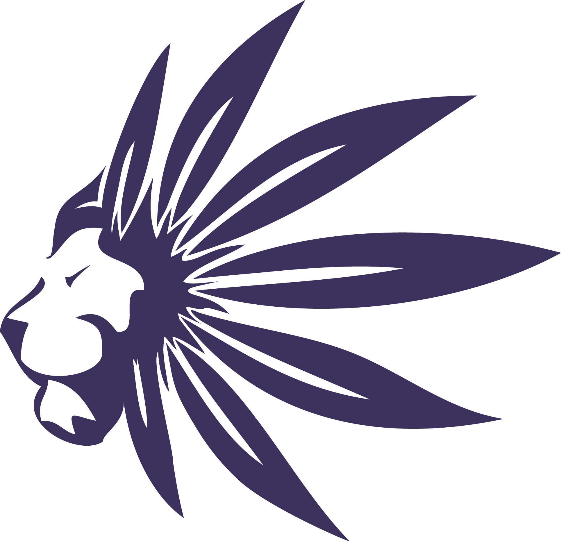 Cannabis Social Club Weimar e.V. Logo