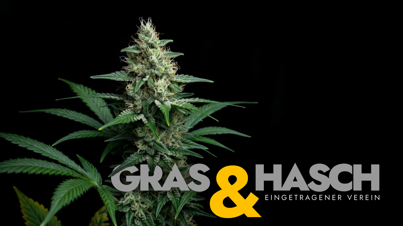 Gras und Hasch e.V. Logo