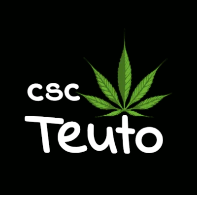CSC Teuto e.V. Logo