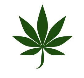 Cannabis Club Wolfsburg